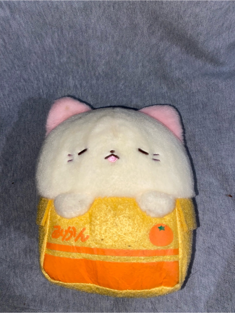 Kawaii cat in the a box plush